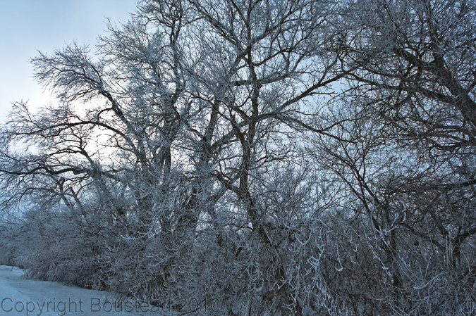 hoarfrost5